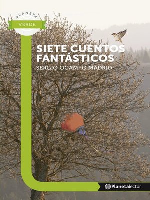 cover image of Siete Cuentos Fantasticos
